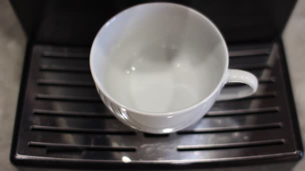 Café de la machine à café est versé dans une tasse blanche — Video