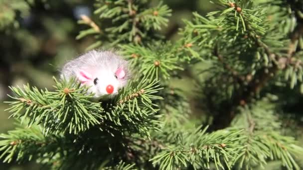 Año Nuevo 2020 símbolo - rata. Decoración de Navidad en una rama de abeto . — Vídeos de Stock