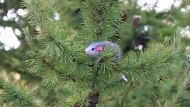 New Year 2020 symbol - rat. Christmas decoration on a spruce branch.  figurines symbol of the year - rat. Holiday background with a copy space. — Stock Video