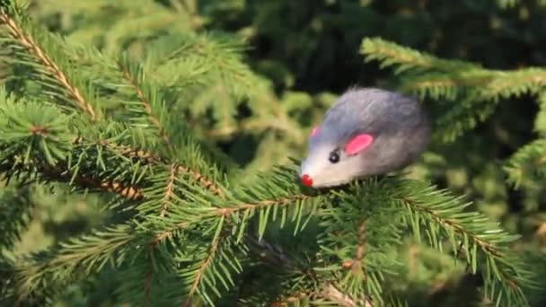 새해 2020 기호 - 쥐. 가문비 나무 지점에 크리스마스 장식입니다. 올해의 인형 기호 - 쥐. 복사 공간이 있는 휴일 배경. — 비디오