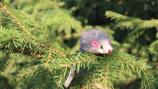 Nieuwjaar 2020 symbool-rat. Kerst decoratie op een sparren tak. beeldjes symbool van het jaar-rat. Vakantie achtergrond met een Kopieer ruimte. — Stockvideo