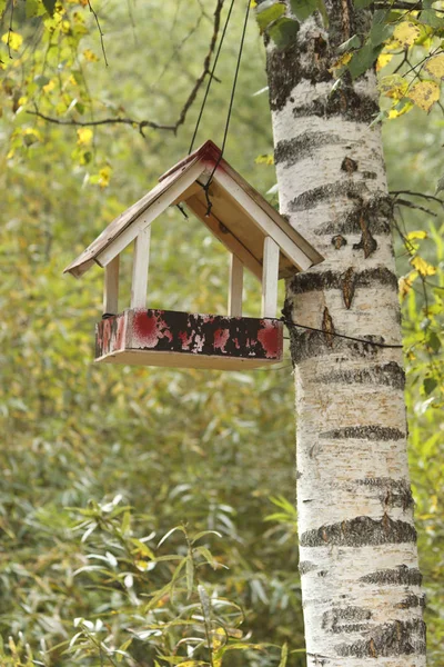 Spreeuwenhuis aan boom in herfstpark — Stockfoto