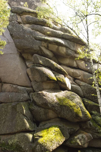 Acantilados y un bosque en el Parque Nacional Pilares de Krasnoyarsk . — Foto de Stock