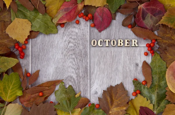 秋天背景，10月 — 图库照片