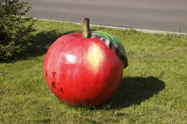 Elmanın planı gün ışığında yeşil bir çimenlikte.