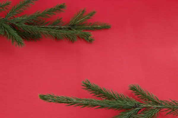 Weihnachten Hintergrund mit Tannenzweigen auf rotem Hintergrund — Stockfoto