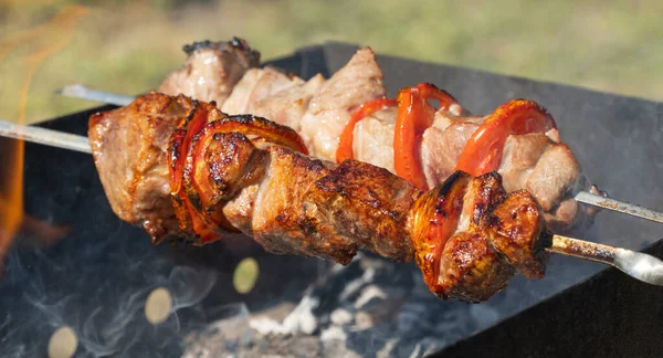 Sappige Heerlijke Shish Kebab Wordt Gebakken Kolen — Stockfoto