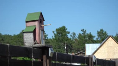 Kuş kuş yuvasından çıkar ve uzaklara uçar.