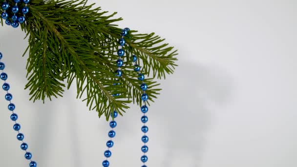 바탕에 로장식된 가문비나무가지 크리스마스를 기념하는 — 비디오