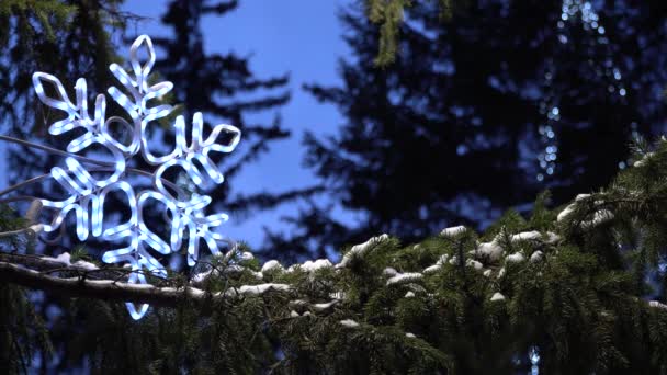 Snow covered spruce branch decorated with garlands. concept of celebrating Christmas holidays. — Stock Footage Snow Covered Spruce Branch Decorated Garlands Concept Celebrating Christmas Holidays Royalty Free Stock Video