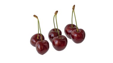 Prunus avium meyvesi. Beyaz arka planda izole edilmiş sulu kiraz meyveleri.