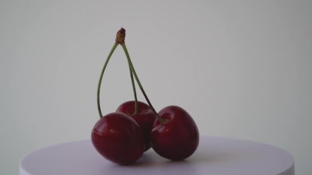 Ripe Berries Juicy Cherries Isolated White Background — Stock Video