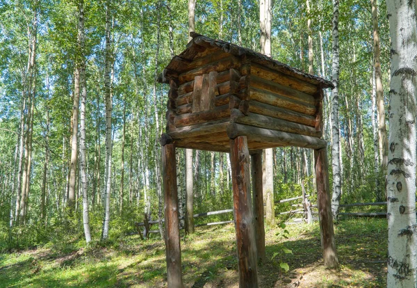 Casa Legno Gambe Alte Una Foresta Betulle Capanna Piedi Zampe — Foto Stock