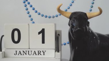  Boğa ve takvim. Ay ve gün içinde el yapımı ahşap küp. Ocak 01, günü planlama. Yıl için yeni planlar ve görevler. Yeni yılın ve 2021 Noelinin sembolü olarak boğa.