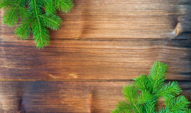 Ahşap bir arka planda yeşil Noel ağacı. Moraine ağacı ve ladin. Yeni yıl kartı yaratmak için yaratıcı bir altyapı. Reçine ağacı ve xmas ladini. düz düzen, boşluğu kopyala.