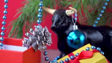 2021 yılının sembolü olarak Noel boğası. Kırmızı arka planda şenlikli Noel süsleri. Xmas boncukları. Noel ağacını süslemek. Doğu takviminde boğanın yılı. 