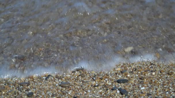 Agua Limpia Piedras Pequeñas Ola Inunda Los Pequeños Guijarros Orilla — Vídeos de Stock