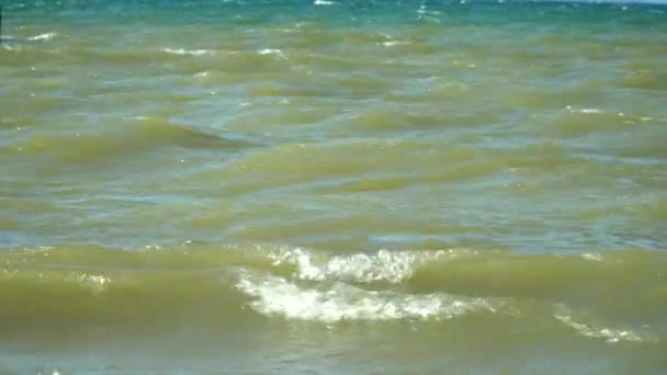 Fuerte Tormenta Lago Olas Golpeando Orilla Hermoso Paisaje Del Lago — Vídeo de stock