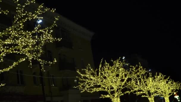 Allee Mit Bäumen Die Mit Girlanden Geschmückt Sind Weihnachten Und — Stockvideo