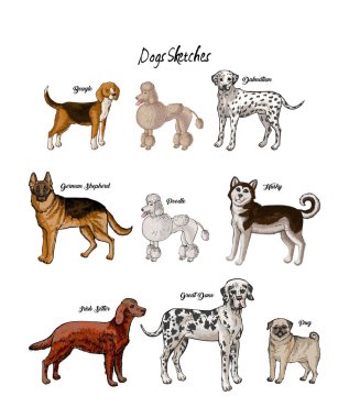 Köpekler skeçler ayarlayın. Farklı cins köpekler