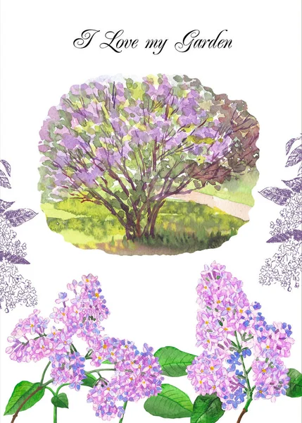 My Lilac Spring Garden Card. Watercolor Illustrations — Stock Photo, Image