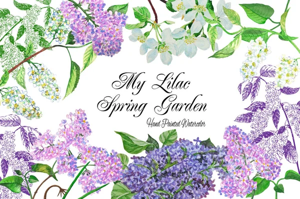 Lilac Spring Garden Watercolor Illustrations — Stock Photo, Image