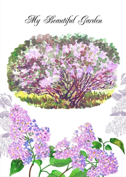 My Lilac Spring Garden Card. Watercolor Illustrations — Stock Photo, Image