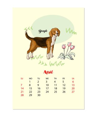 Komik Beagle köpek kroki ile Nisan takvim 2019. Elle çizilmiş hayvan illüstrasyon vektör