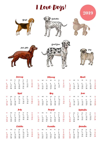 Hund kalender 2019. Hundar av olika raser — Stock vektor