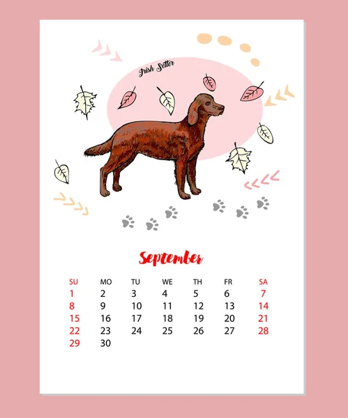 Calendário de setembro 2019 com Esboço de Setter irlandês engraçado. Animais desenhados à mão ilustração vetorial — Vetor de Stock