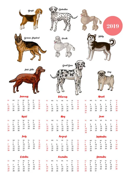 Σκύλος ημερολόγιο 2019. Σκύλοι από διάφορες ράτσες σκίτσα — Φωτογραφία Αρχείου