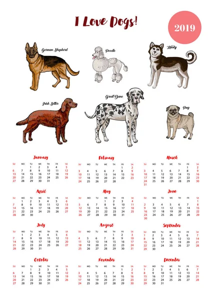 Dog  calendar 2019. Dogs of different breeds sketches