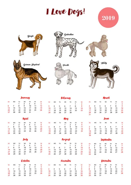Dog  calendar 2019. Dogs of different breeds sketches