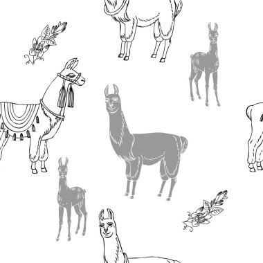 Llamas ve çiçekler ile Seamless Modeli