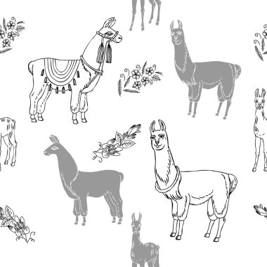 Llamas ve çiçekler ile Seamless Modeli