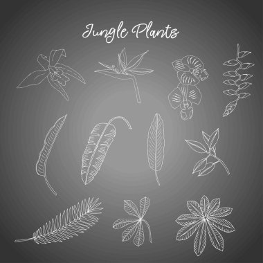 Orman skeçler bitkiler. Çizilmiş arka plan el