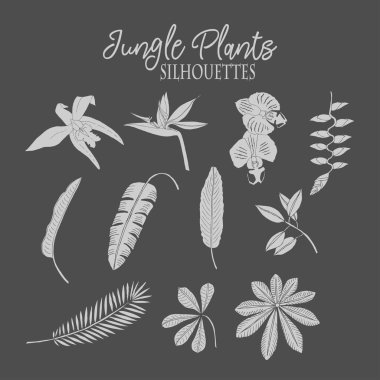 Orman skeçler bitkiler. Çizilmiş arka plan el