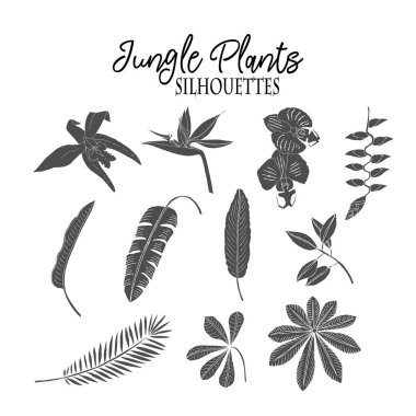 Orman skeçler bitkiler. Çizilmiş arka plan el