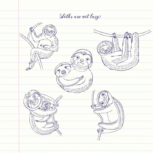 Szkice zwierząt leniwce. Ręcznie rysowane tła — Wektor stockowy