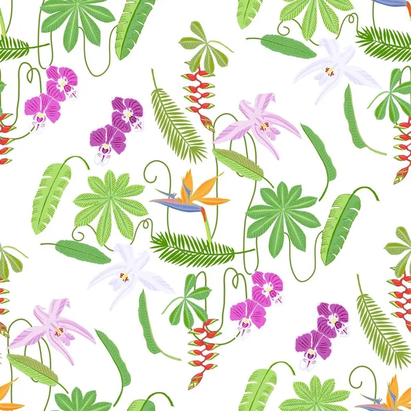 Modèle sans couture avec des plantes et des fleurs dans la jungle — Image vectorielle