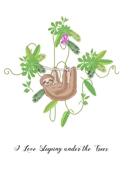 Sloth dans la jungle. Croquis animaliers et végétaux — Image vectorielle