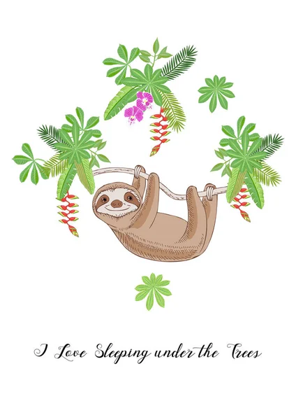 Sloth dans la jungle. Croquis animaliers et végétaux — Image vectorielle