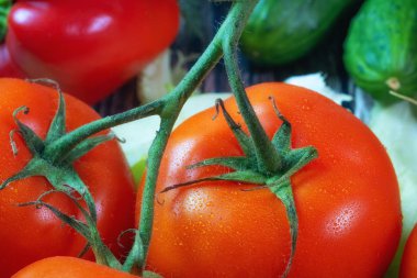 sebze ve meyve arka plan sağlıklı organik gıda kavramı