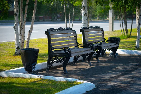 Dos bancos en el parque con un bote de basura . — Foto de Stock