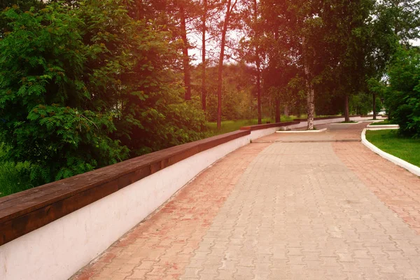 Дорога в парке с длинной скамейкой для отдыха в солнечный день . — стоковое фото