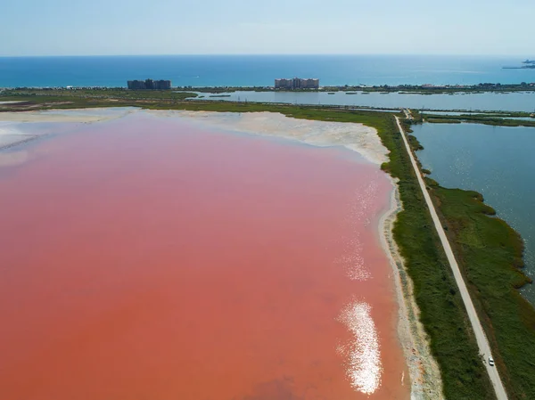 The pink lake. Taken from a bird\'s eye view. The dark and pink lake is separated by a dirt road with a shrub....