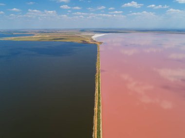 Pembe göl Sasyk Sivash. Yol uzaklığa gider ve sahili ayırır. İnsansız hava aracından alındı..
