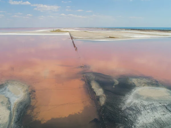 Rosa extremadamente salado Syvash Lake, coloreado por microalgas con depósitos de sal cristalina. Crimea . — Foto de Stock