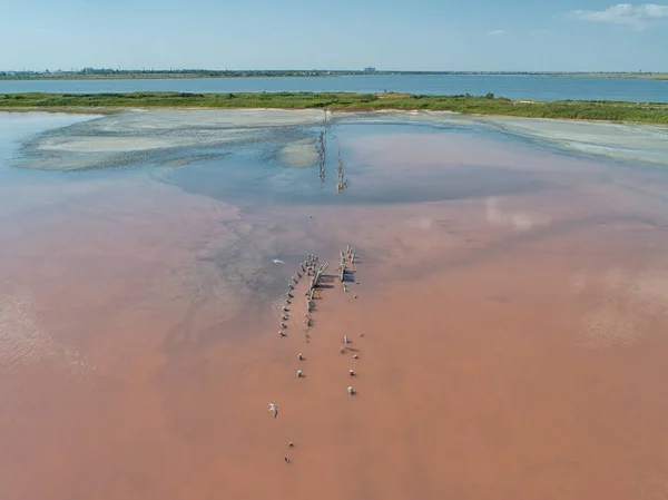 Pink lake Sasyk Sivash. Deposits of mineral salts and therapeutic mud. Taken from the drone. Royalty Free Stock Images