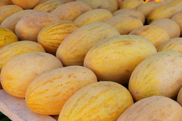 Tezgahta sarı karpuz var. Birkaç sıra halinde yalan söylüyorlar. Yakın plan..